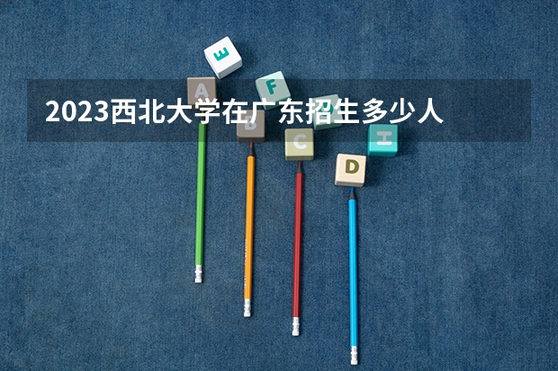 2023西北大学在广东招生多少人
