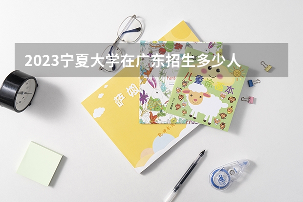 2023宁夏大学在广东招生多少人
