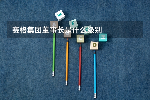 赛格集团董事长是什么级别