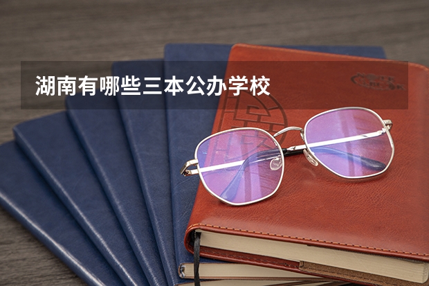 湖南有哪些三本公办学校