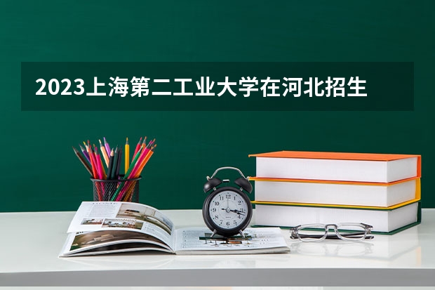 2023上海第二工业大学在河北招生多少人