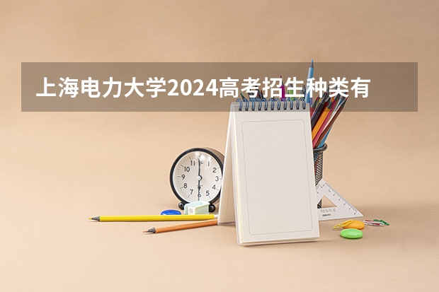 上海电力大学2024高考招生种类有哪些科目？
