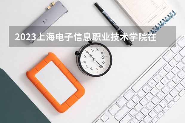 2023上海电子信息职业技术学院在河北招生多少人