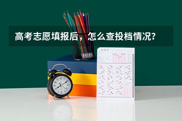 高考志愿填报后，怎么查投档情况？