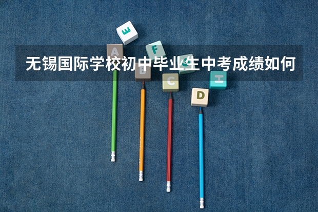 无锡国际学校初中毕业生中考成绩如何？