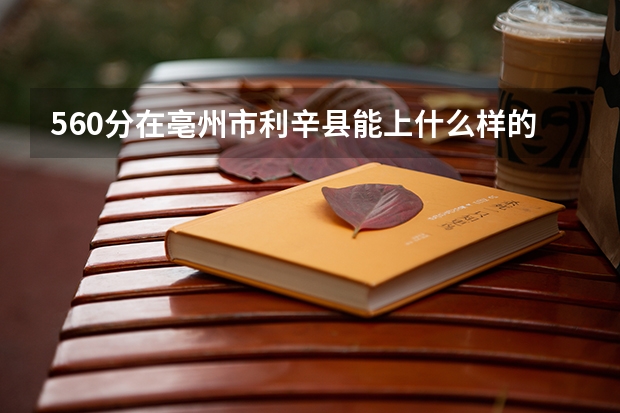 560分在亳州市利辛县能上什么样的高中?