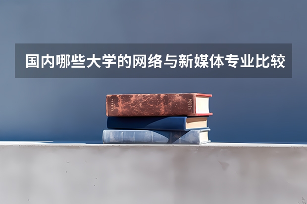 国内哪些大学的网络与新媒体专业比较好?