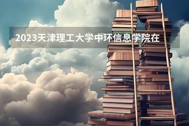 2023天津理工大学中环信息学院在河北招生多少人