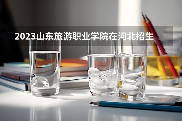 2023山东旅游职业学院在河北招生多少人