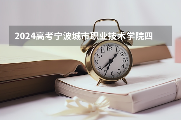 2024高考宁波城市职业技术学院四川招生人数 招生计划