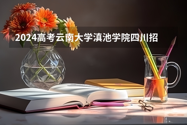2024高考云南大学滇池学院四川招生人数 招生计划