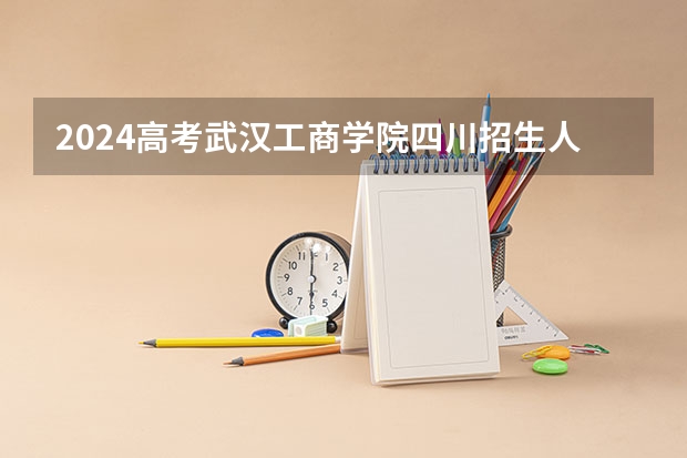 2024高考武汉工商学院四川招生人数 招生计划