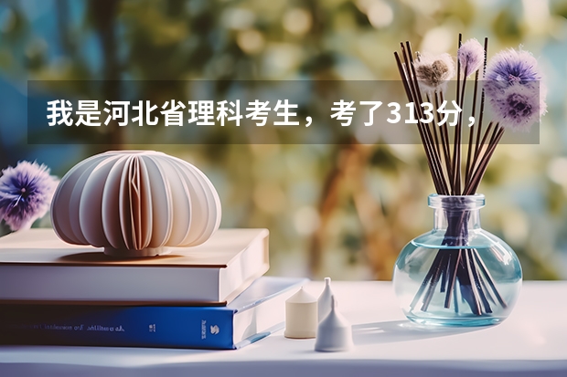 我是河北省理科考生，考了313分，补录走上专科有希望吗？补录一般能降多少分录取啊？