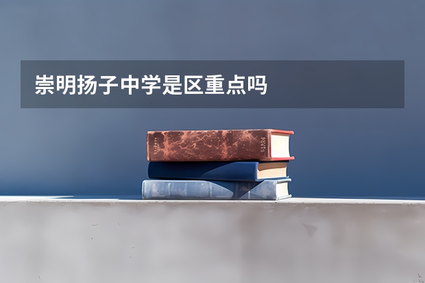 崇明扬子中学是区重点吗