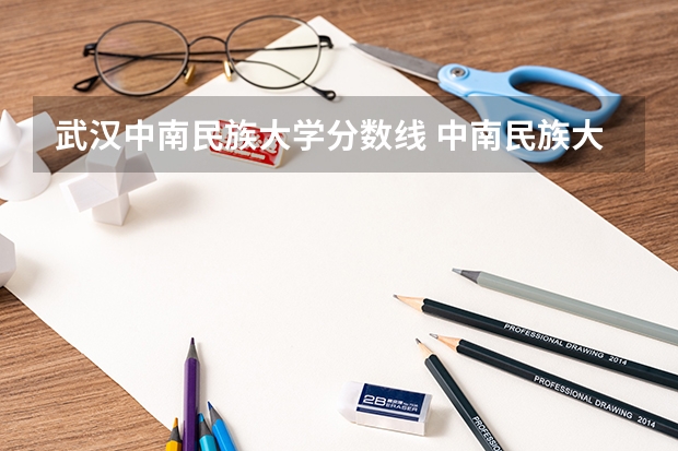 武汉中南民族大学分数线 中南民族大学少数民族分数线