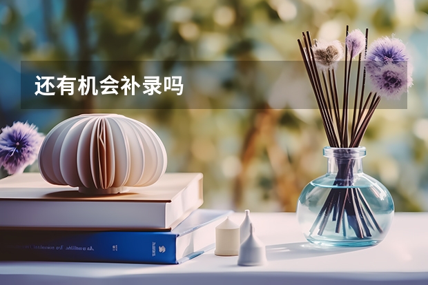 还有机会补录吗