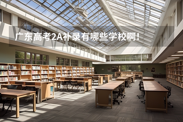 广东高考2A补录有哪些学校啊!