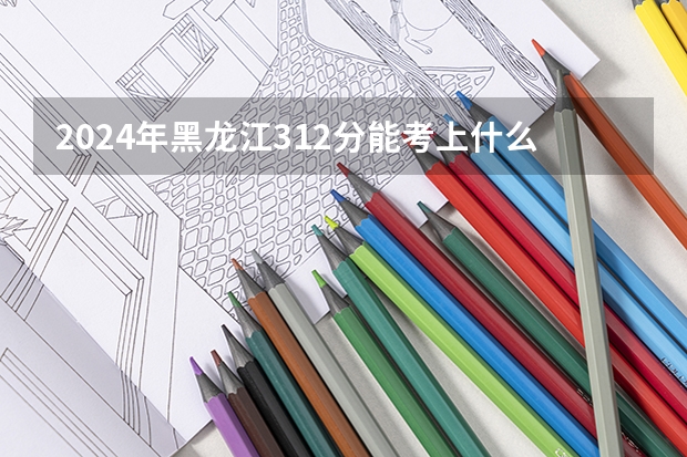 2024年黑龙江312分能考上什么大学?