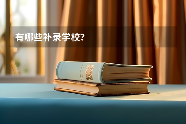 有哪些补录学校？