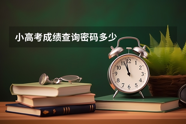 小高考成绩查询密码多少