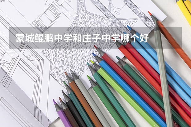 蒙城鲲鹏中学和庄子中学哪个好