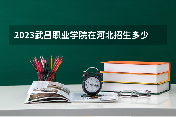 2023武昌职业学院在河北招生多少人