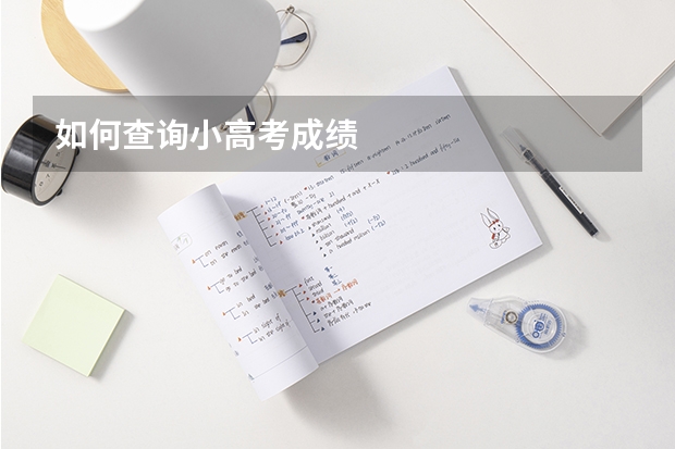 如何查询小高考成绩