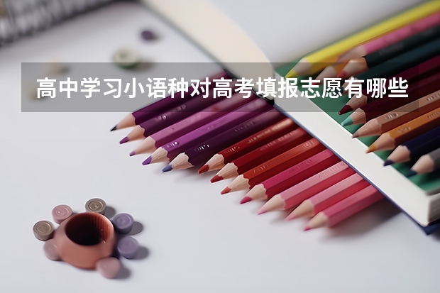 高中学习小语种对高考填报志愿有哪些影响?