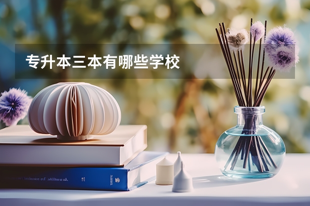 专升本三本有哪些学校