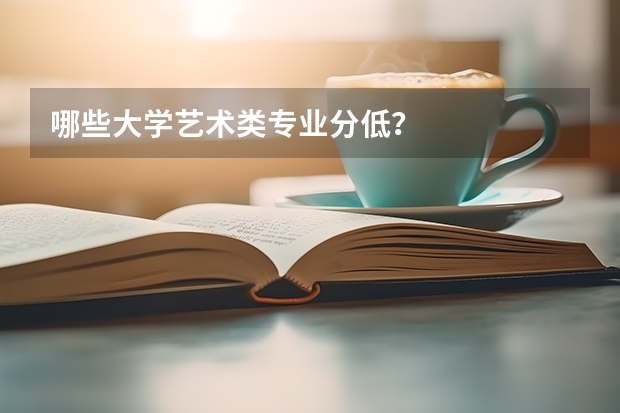 哪些大学艺术类专业分低？