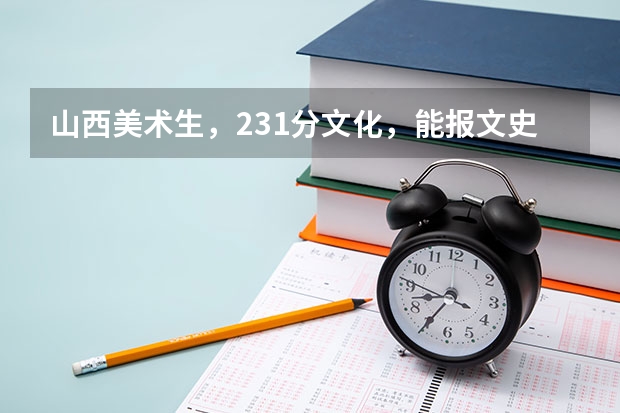 山西美术生，231分文化，能报文史的专业吗