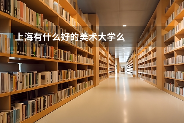 上海有什么好的美术大学么