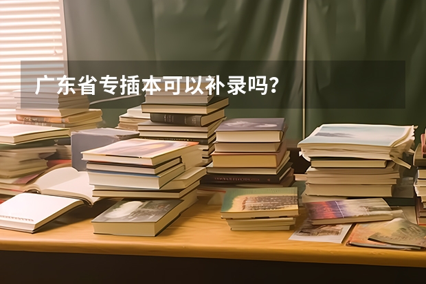 广东省专插本可以补录吗？