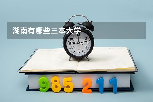 湖南有哪些三本大学