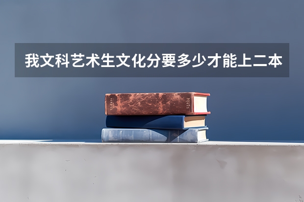我文科艺术生文化分要多少才能上二本啊