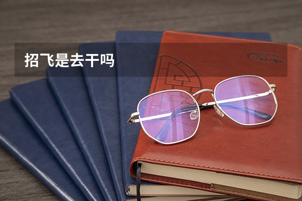 招飞是去干吗