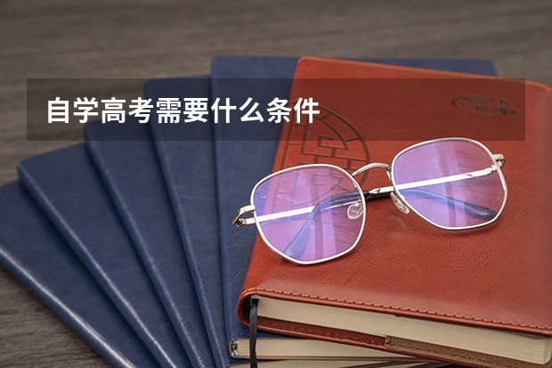 自学高考需要什么条件