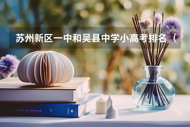 苏州新区一中和吴县中学小高考排名(江苏省泗阳县高考状元是谁)