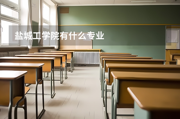 盐城工学院有什么专业