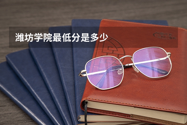 潍坊学院最低分是多少