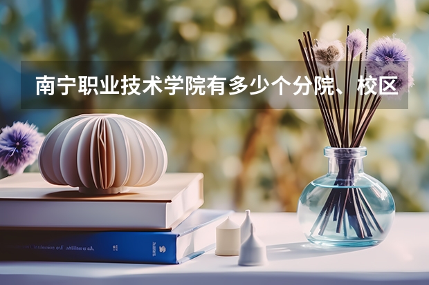 南宁职业技术学院有多少个分院、校区，分别位于哪里，今年的录取分数线具体是怎