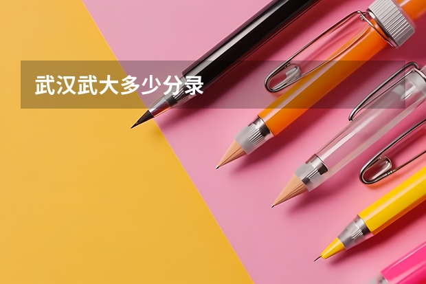 武汉武大多少分录