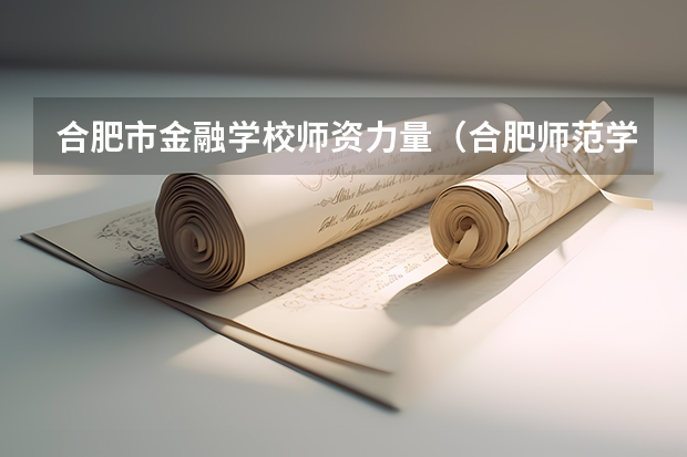 合肥市金融学校师资力量（合肥师范学院是本科还是专科）