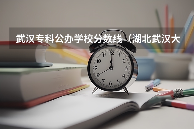 武汉专科公办学校分数线（湖北武汉大专分数线）